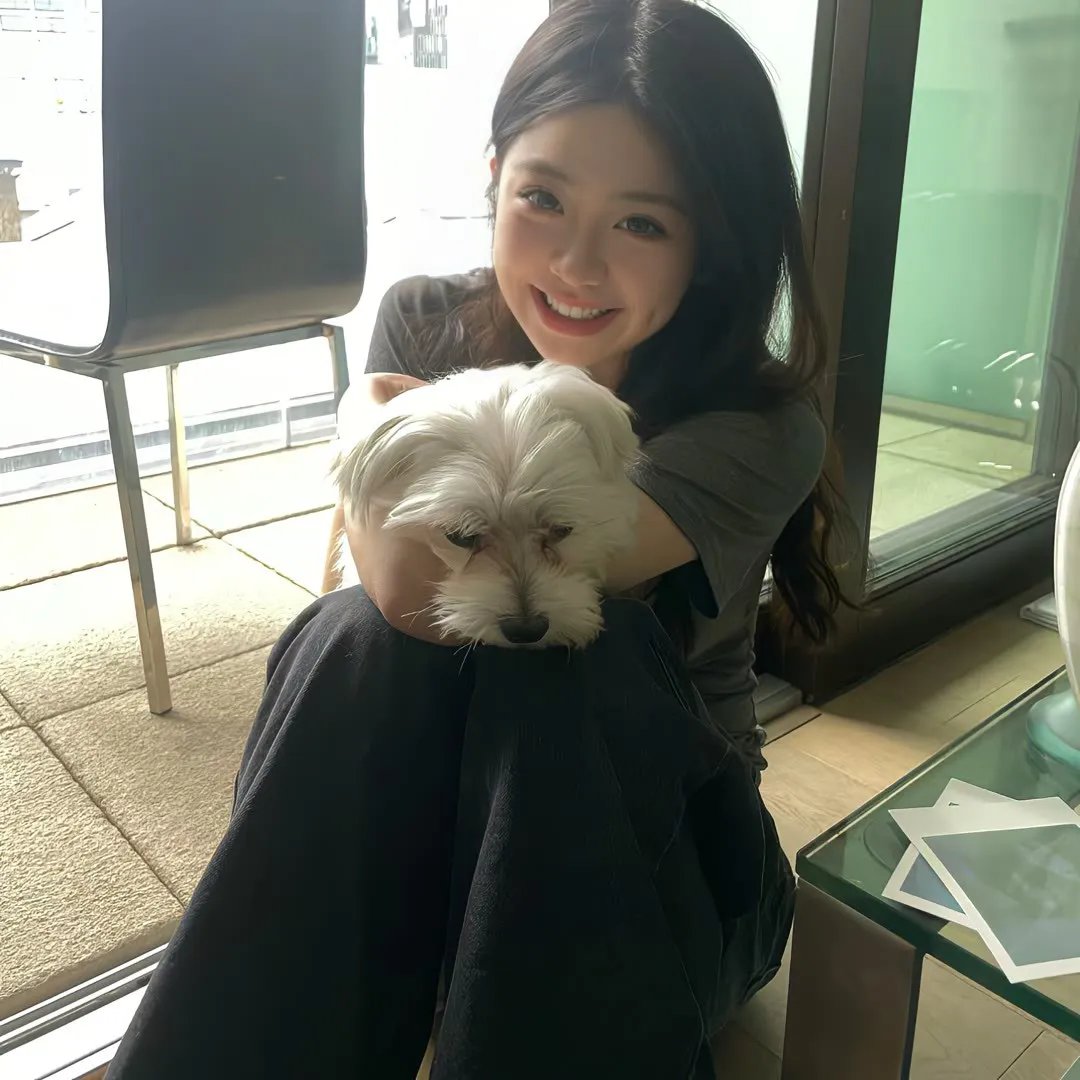 怪物史瑞克5